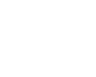 Effast logo