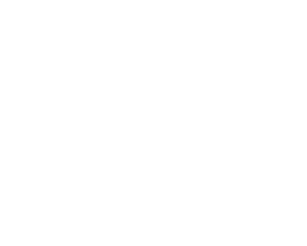 Mecflow logo